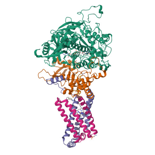 Structure 9KC4
