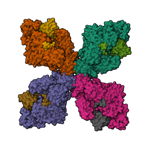Structure 9O4E