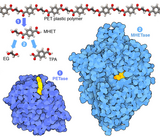 PDB-101 Focus: Biotechnology