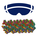 Explore PDB Structures in AR/VR