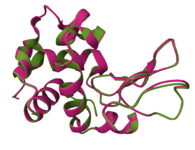 <I>Entries pdb_00008reh and pdb_00008rtj are each structures of lysozyme C. These entries have 100% sequence identity, but were determined under different conditions and thus have slightly different structural confirmations.</I>