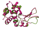 Guide to Understanding PDB Data: Primary Sequences
